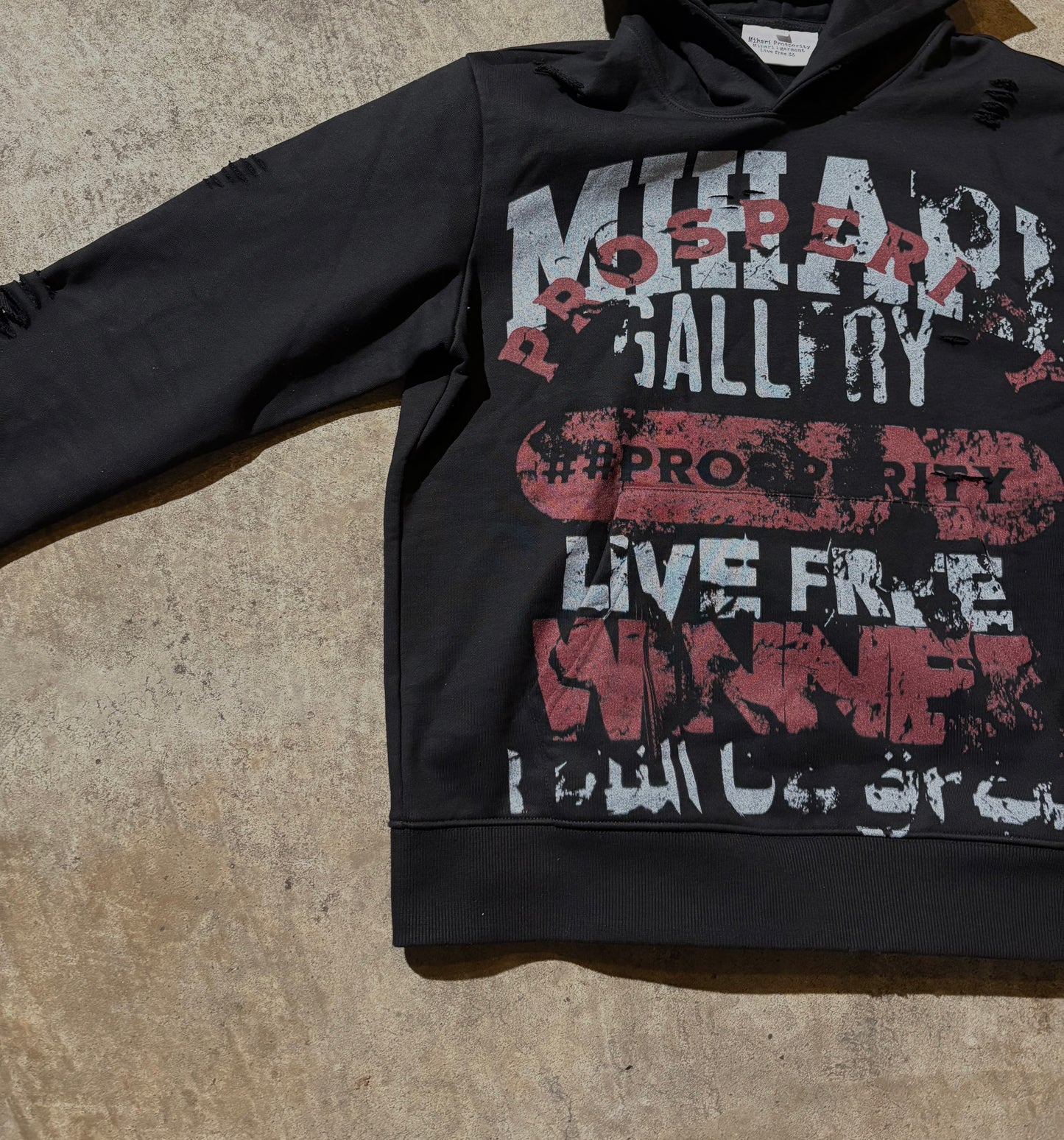 Destroy Gallery Hoodie